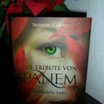 Panem_Band 2_