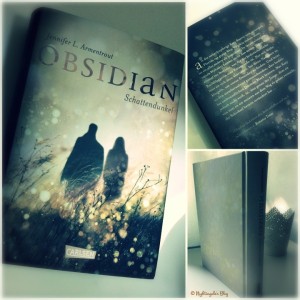 Obsidian 1_Collage